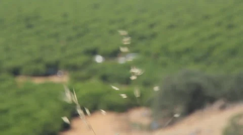 Farmland Background Stock Footage 52281187