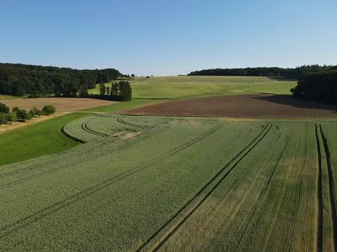 Farmland with crop fields, plowed fields, trees and a blue sky in spring Stock Photos