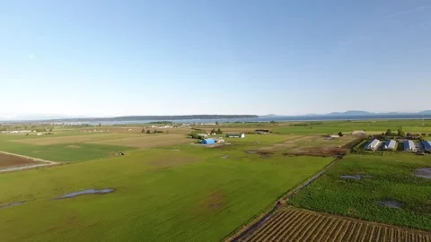 Farmland in Delta Stock Footage 255234890