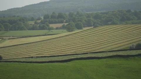 Farmland during spring, Baslow, Derbyshire, Peak District National Park, England Stock Footage 242298394