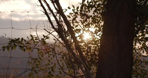 Farmland during sunset Stock-Footage 127463569