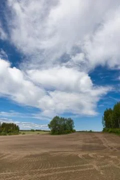 Farmland on early summer Stock Photos