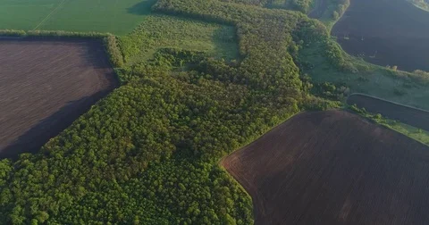 Farmland fields and rural patchwork landscape Video stock 85252047