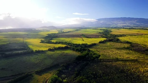 Farmland Video stock 115625208