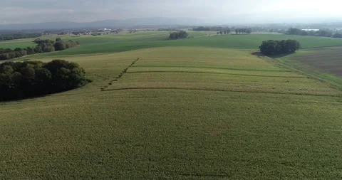 Farmland 库存影片 140919250