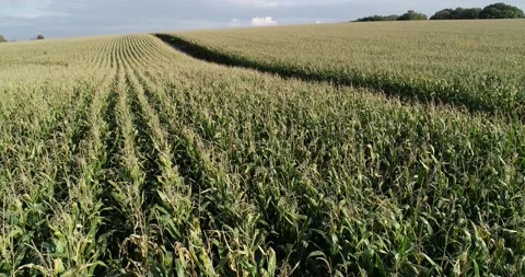 Farmland 库存影片 140919580