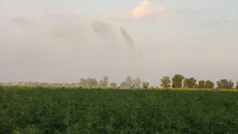 Farmland Stockbeeldmateriaal 173700788