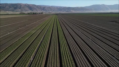 Farmland Stock Footage 244458727