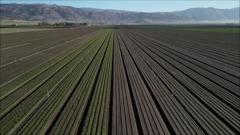 Farmland Stock Footage 244458734