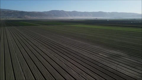 Farmland Stock Footage 244458756
