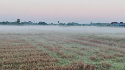Farmland Stock Footage 325281937