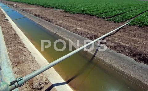 Farmland Irrigation Stock Photos