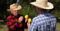 Farmland Job Farm Workers Analyze Citrus Fruit Best Lemons Exotic Vitamins Food 4k or 4k+ Resolution