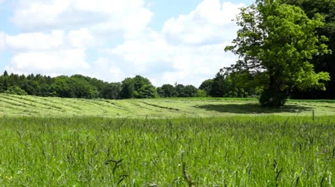 Farmland meadow Stock Footage 24709743
