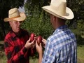 Farmland Partners Talk Mangoes Fruit Agricultural Production Analyzing Details 4k or 4k+ Resolution
