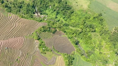 Farmland in the Philippines. Stock Footage 243486834