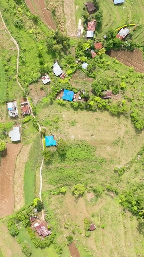Farmland in the Philippines. Stock Footage 301941342