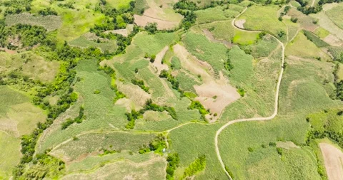 Farmland in the Philippines. Stock Footage 311032842
