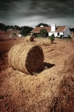 Farmland Stock Photos