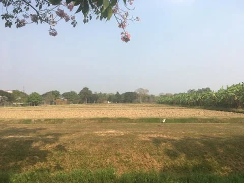 Farmland Stock Photos