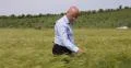 Farmland Producer Check Ears Growing Cereal Production Studying Wheat Harvest 4k or 4k+ Resolution