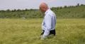 Farmland Producer Studying Wheat Harvest Check Ears Growing Cereal Production 4k or 4k+ Resolution