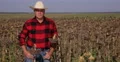 Farmland Prosperity Image Agronomist Presenting Proud Sunflower Record Culture 4k or 4k+ Resolution