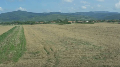 Farmland seen From Train Stock Footage 92732334
