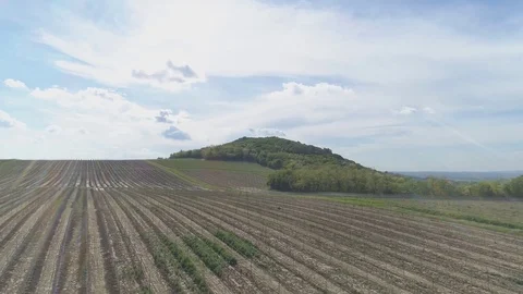 Farmland from the sky Stock Footage 76526738
