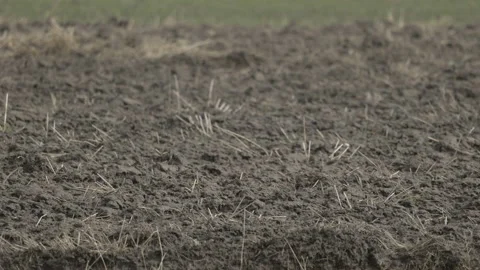 Farmland in spring, 4K slomo Stock Footage 237515219