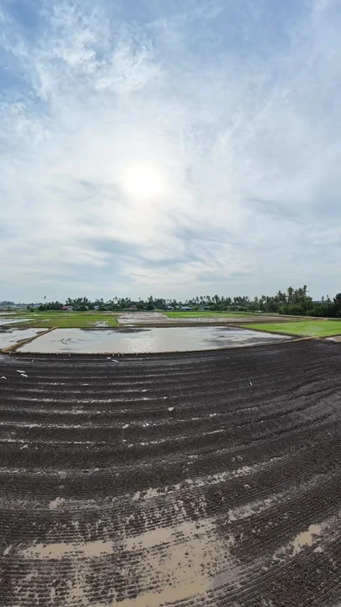 Farmland stretches under soft clouds Stock Footage 345410417
