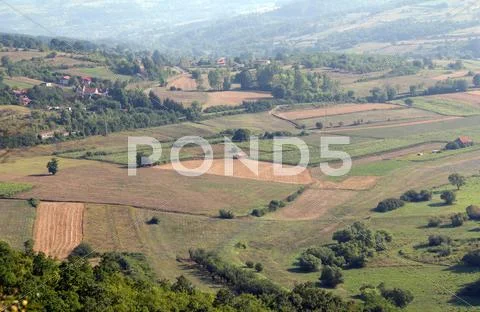 Farmland summer landscape nature scene Stock Photos