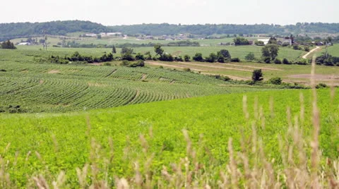 Farmland view Stock Footage 25237680