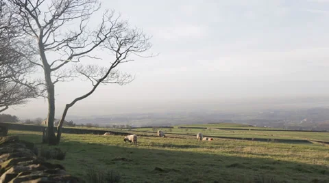 Farmland View in Lancaster Stock Footage 33536621