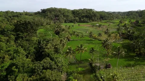 Farmland Villages West Java Stock Footage 252669948