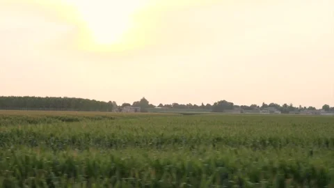 Farmland2 Stockbeeldmateriaal 173700802