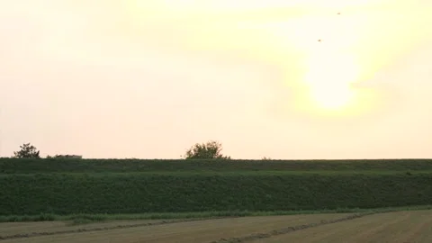 Farmland3 Stockbeeldmateriaal 173700833