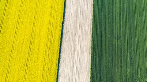Farmlands in the afternoon light from a drone Stock Photos