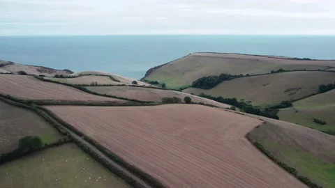 Farmlands and Fields from a drone, Devon, England, Europe Stock Footage 209383350