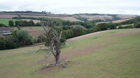 Farmlands and Fields from a drone, Devon, England, Europe Stock Footage 209389835