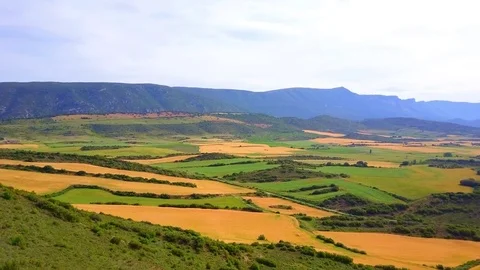 Farmlands cereal crops Stock Footage 76794874