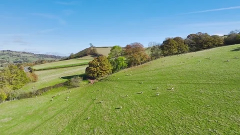 Farms and Fields from a drone, Brecon Beacons, Wales, England Stock-Footage 291648278