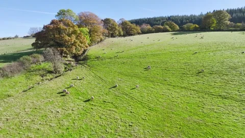 Farms and Fields from a drone, Brecon Beacons, Wales, England Stock-Footage 291648313