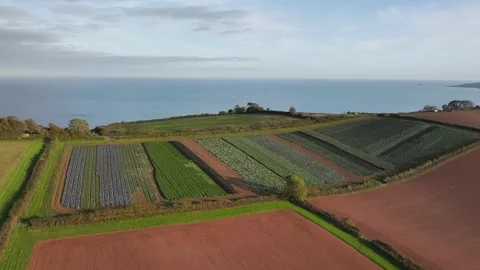Farms and Fields at evening sun from a drone, Shaldon, Devon, England Stock-Footage 318659689