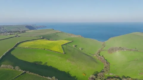 Farms and Fields over Brixham and Kingswear from a drone, Devon, England Видео 311951030