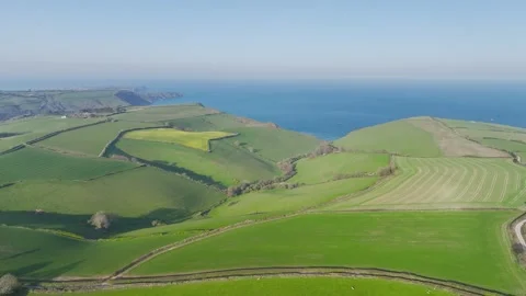 Farms and Fields over Brixham and Kingswear from a drone, Devon, England Vidéo 311951093