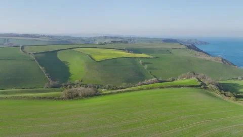 Farms and Fields over Brixham and Kingswear from a drone, Devon, England Видео 311951161