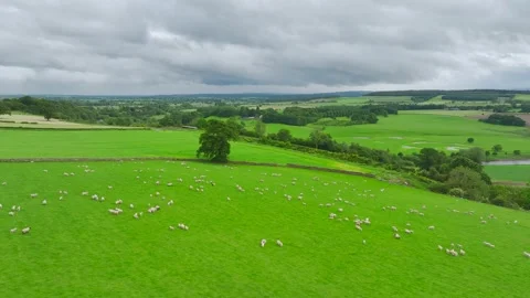 Farms and Fields over River Eden and River Eamont from a drone, Cumbria, England 스톡 동영상 277858595