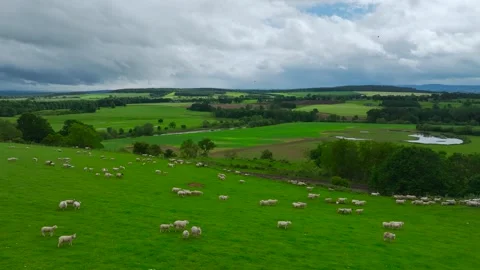 Farms and Fields over River Eden and River Eamont from a drone, Cumbria, England Stock Footage 277858613