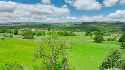 Farms and Fields over River Ure from a drone, North Yorkshire, England Stock Footage 278627898